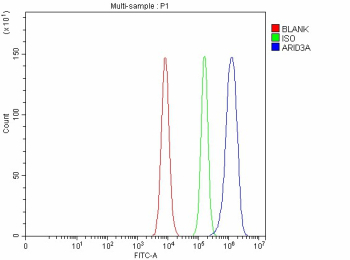 Flow Cytometry analysis of Caco-2 cells using anti-ARID3A antibody. Overlay histogram showing Caco-2 cells stained with (Blue line). To facilitate intracellular staining, cells were fixed with 4% paraformaldehyde and permeabilized with permeabilization buffer. The cells were blocked with 10% normal goat serum. And then incubated with rabbit anti-ARID3A antibody (1 ug/million cells) for 30 min at 20oC. DyLight 488 conjugated goat anti-rabbit IgG (5-10 ug/million cells) was used as secondary antibody for 30 minutes at 20oC. Isotype control antibody (Green line) was rabbit IgG (1 ug/million cells) used under the same conditions. Unlabelled sample without incubation with primary antibody and secondary antibody (Red line) was used as a blank control.