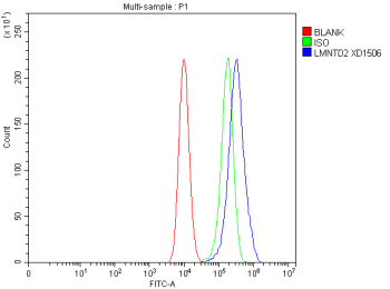 Flow Cytometry analysis of CACO-2 cells using anti-LMNTD2 antibody. Overlay histogram showing CACO-2 cells stained with (Blue line). To facilitate intracellular staining, cells were fixed with 4% paraformaldehyde and permeabilized with permeabilization buffer. The cells were blocked with 10% normal goat serum. And then incubated with rabbit anti-LMNTD2 antibody (1 ug/million cells) for 30 min at 20oC. DyLight 488 conjugated goat anti-rabbit IgG (5-10 ug/million cells) was used as secondary antibody for 30 minutes at 20oC. Isotype control antibody (Green line) was rabbit IgG (1 ug/million cells) used under the same conditions. Unlabelled sample without incubation with primary antibody and secondary antibody (Red line) was used as a blank control.