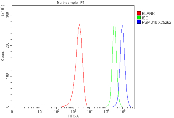 Flow Cytometry analysis of MCF-7 cells using anti-PSMD10 antibody. Overlay histogram showing MCF-7 cells stained with (Blue line). To facilitate intracellular staining, cells were fixed with 4% paraformaldehyde and permeabilized with permeabilization buffer. The cells were blocked with 10% normal goat serum. And then incubated with rabbit anti-PSMD10 antibody (1 ug/million cells) for 30 min at 20oC. DyLight 488 conjugated goat anti-rabbit IgG (5-10 ug/million cells) was used as secondary antibody for 30 minutes at 20oC. Isotype control antibody (Green line) was rabbit IgG (1 ug/million cells) used under the same conditions. Unlabelled sample without incubation with primary antibody and secondary antibody (Red line) was used as a blank control.