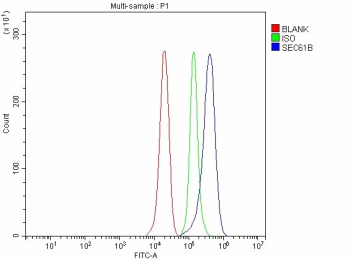 Flow Cytometry analysis of PC-3 cells using anti-SEC61B antibody. Overlay histogram showing PC-3 cells stained with (Blue line). To facilitate intracellular staining, cells were fixed with 4% paraformaldehyde and permeabilized with permeabilization buffer. The cells were blocked with 10% normal goat serum. And then incubated with rabbit anti-SEC61B antibody (1 ug/million cells) for 30 min at 20oC. DyLight 488 conjugated goat anti-rabbit IgG (5-10 ug/million cells) was used as secondary antibody for 30 minutes at 20oC. Isotype control antibody (Green line) was rabbit IgG (1 ug/million cells) used under the same conditions. Unlabelled sample without incubation with primary antibody and secondary antibody (Red line) was used as a blank control.