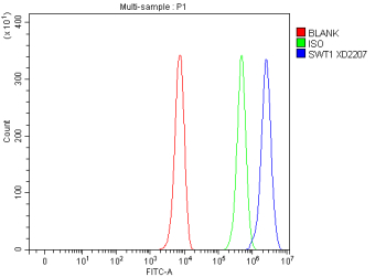 Flow Cytometry analysis of K562 cells using anti-SWT1 antibody. Overlay histogram showing K562 cells stained with (Blue line). To facilitate intracellular staining, cells were fixed with 4% paraformaldehyde and permeabilized with permeabilization buffer. The cells were blocked with 10% normal goat serum. And then incubated with rabbit anti-SWT1 antibody (1 ug/million cells) for 30 min at 20oC. DyLight 488 conjugated goat anti-rabbit IgG (5-10 ug/million cells) was used as secondary antibody for 30 minutes at 20oC. Isotype control antibody (Green line) was rabbit IgG (1 ug/million cells) used under the same conditions. Unlabelled sample without incubation with primary antibody and secondary antibody (Red line) was used as a blank control.