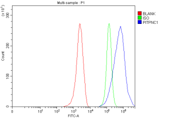 Flow Cytometry analysis of MCF-7 cells using anti-PITPNC1 antibody. Overlay histogram showing MCF-7 cells stained with (Blue line). To facilitate intracellular staining, cells were fixed with 4% paraformaldehyde and permeabilized with permeabilization buffer. The cells were blocked with 10% normal goat serum. And then incubated with rabbit anti-PITPNC1 antibody (1 ug/million cells) for 30 min at 20oC. DyLight 488 conjugated goat anti-rabbit IgG (5-10 ug/million cells) was used as secondary antibody for 30 minutes at 20oC. Isotype control antibody (Green line) was rabbit IgG (1 ug/million cells) used under the same conditions. Unlabelled sample without incubation with primary antibody and secondary antibody (Red line) was used as a blank control.
