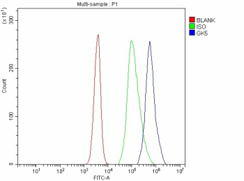 Flow Cytometry analysis of JK cells using anti-GK5 antibody. Overlay histogram showing JK cells stained with (Blue line). To facilitate intracellular staining, cells were fixed with 4% paraformaldehyde and permeabilized with permeabilization buffer. The cells were blocked with 10% normal goat serum. And then incubated with rabbit anti-GK5 antibody (1 ug/million cells) for 30 min at 20oC. DyLight 488 conjugated goat anti-rabbit IgG (5-10 ug/million cells) was used as secondary antibody for 30 minutes at 20oC. Isotype control antibody (Green line) was rabbit IgG (1 ug/million cells) used under the same conditions. Unlabelled sample without incubation with primary antibody and secondary antibody (Red line) was used as a blank control.