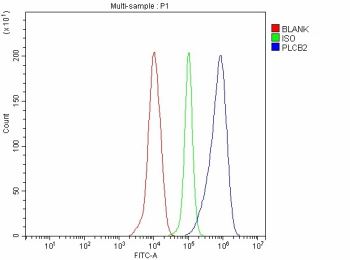Flow Cytometry analysis of THP-1 cells using anti-PLCB2 antibody. Overlay histogram showing THP-1 cells stained with (Blue line). To facilitate intracellular staining, cells were fixed with 4% paraformaldehyde and permeabilized with permeabilization buffer. The cells were blocked with 10% normal goat serum. And then incubated with rabbit anti-PLCB2 antibody (1 ug/million cells) for 30 min at 20oC. DyLight 488 conjugated goat anti-rabbit IgG (5-10 ug/million cells) was used as secondary antibody for 30 minutes at 20oC. Isotype control antibody (Green line) was rabbit IgG (1 ug/million cells) used under the same conditions. Unlabelled sample without incubation with primary antibody and secondary antibody (Red line) was used as a blank control.