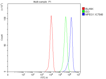 Flow Cytometry analysis of THP-1 cells using anti-MPEG1 antibody. Overlay histogram showing THP-1 cells stained with (Blue line). The cells were fixed with 4% paraformaldehyde and blocked with 10% normal goat serum. And then incubated with rabbit anti-MPEG1 antibody (1 ug/million cells) for 30 min at 20oC. DyLight 488 conjugated goat anti-rabbit IgG (5-10 ug/million cells) was used as secondary antibody for 30 minutes at 20oC. Isotype control antibody (Green line) was rabbit IgG (1 ug/million cells) used under the same conditions. Unlabelled sample without incubation with primary antibody and secondary antibody (Red line) was used as a blank control.