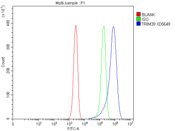 Flow Cytometry analysis of Jurkat cells using anti-TRIM39 antibody. Overlay histogram showing Jurkat cells stained with (Blue line). To facilitate intracellular staining, cells were fixed with 4% paraformaldehyde and permeabilized with permeabilization buffer. The cells were blocked with 10% normal goat serum. And then incubated with rabbit anti-TRIM39 antibody (1 ug/million cells) for 30 min at 20oC. DyLight 488 conjugated goat anti-rabbit IgG (5-10 ug/million cells) was used as secondary antibody for 30 minutes at 20oC. Isotype control antibody (Green line) was rabbit IgG (1 ug/million cells) used under the same conditions. Unlabelled sample without incubation with primary antibody and secondary antibody (Red line) was used as a blank control.