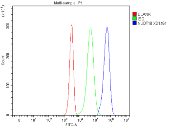 Flow Cytometry analysis of Jurkat cells using anti-NUDT18 antibody. Overlay histogram showing Jurkat cells stained with (Blue line). To facilitate intracellular staining, cells were fixed with 4% paraformaldehyde and permeabilized with permeabilization buffer. The cells were blocked with 10% normal goat serum. And then incubated with rabbit anti-NUDT18 antibody (1 ug/million cells) for 30 min at 20oC. DyLight 488 conjugated goat anti-rabbit IgG (5-10 ug/million cells) was used as secondary antibody for 30 minutes at 20oC. Isotype control antibody (Green line) was rabbit IgG (1 ug/million cells) used under the same conditions. Unlabelled sample without incubation with primary antibody and secondary antibody (Red line) was used as a blank control.