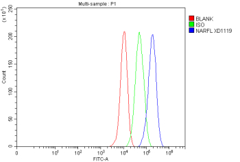 Flow Cytometry analysis of MCF-7 cells using anti-CIAO3 antibody. Overlay histogram showing MCF-7 cells stained with (Blue line). The cells were fixed with 4% paraformaldehyde and blocked with 10% normal goat serum. And then incubated with rabbit anti-CIAO3 antibody (1 ug/million cells) for 30 min at 20oC. DyLight 488 conjugated goat anti-rabbit IgG (5-10 ug/million cells) was used as secondary antibody for 30 minutes at 20oC. Isotype control antibody (Green line) was rabbit IgG (1 ug/million cells) used under the same conditions. Unlabelled sample without incubation with primary antibody and secondary antibody (Red line) was used as a blank control.