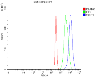 Flow Cytometry analysis of 293T cells using anti-SCLT1 antibody. Overlay histogram showing 293T cells stained with (Blue line). To facilitate intracellular staining, cells were fixed with 4% paraformaldehyde and permeabilized with permeabilization buffer. The cells were blocked with 10% normal goat serum. And then incubated with rabbit anti-SCLT1 antibody (1 ug/million cells) for 30 min at 20oC. DyLight 488 conjugated goat anti-rabbit IgG (5-10 ug/million cells) was used as secondary antibody for 30 minutes at 20oC. Isotype control antibody (Green line) was rabbit IgG (1 ug/million cells) used under the same conditions. Unlabelled sample (Red line) was also used as a control.