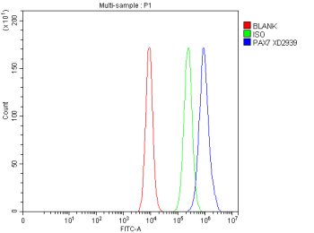 Flow Cytometry analysis of CACO-2 cells using anti-PAX7 antibody. Overlay histogram showing CACO-2 cells stained with (Blue line). To facilitate intracellular staining, cells were fixed with 4% paraformaldehyde and permeabilized with permeabilization buffer. The cells were blocked with 10% normal goat serum. And then incubated with rabbit anti-PAX7 antibody (1 ug/million cells) for 30 min at 20oC. DyLight 488 conjugated goat anti-rabbit IgG (5-10 ug/million cells) was used as secondary antibody for 30 minutes at 20oC. Isotype control antibody (Green line) was rabbit IgG (1 ug/million cells) used under the same conditions. Unlabelled sample without incubation with primary antibody and secondary antibody (Red line) was used as a blank control.