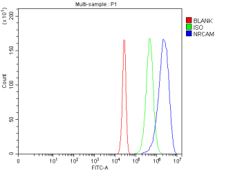 Flow Cytometry analysis of Neuro2a cells using anti-NRCAM antibody. Overlay histogram showing Neuro2a cells stained with (Blue line). The cells were fixed with 4% paraformaldehyde and blocked with 10% normal goat serum. And then incubated with rabbit anti-NRCAM antibody (1 ug/million cells) for 30 min at 20oC. DyLight 488 conjugated goat anti-rabbit IgG (5-10 ug/million cells) was used as secondary antibody for 30 minutes at 20oC. Isotype control antibody (Green line) was rabbit IgG (1 ug/million cells) used under the same conditions. Unlabelled sample without incubation with primary antibody and secondary antibody (Red line) was used as a blank control.