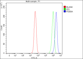 Flow Cytometry analysis of SH-SY5Y cells using anti-PDE8A antibody. Overlay histogram showing SH-SY5Y cells stained with (Blue line). To facilitate intracellular staining, cells were fixed with 4% paraformaldehyde and permeabilized with permeabilization buffer. The cells were blocked with 10% normal goat serum. And then incubated with rabbit anti-PDE8A antibody (1 ug/million cells) for 30 min at 20oC. DyLight 488 conjugated goat anti-rabbit IgG (5-10 ug/million cells) was used as secondary antibody for 30 minutes at 20oC. Isotype control antibody (Green line) was rabbit IgG (1 ug/million cells) used under the same conditions. Unlabelled sample (Red line) was also used as a control.