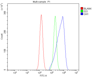 Flow Cytometry analysis of HEL cells using anti-GH1 antibody. Overlay histogram showing HEL cells stained with (Blue line). The cells were fixed with 4% paraformaldehyde and blocked with 10% normal goat serum. And then incubated with rabbit anti-GH1 antibody (1 ug/million cells) for 30 min at 20oC. DyLight 488 conjugated goat anti-rabbit IgG (5-10 ug/million cells) was used as secondary antibody for 30 minutes at 20oC. Isotype control antibody (Green line) was rabbit IgG (1 ug/million cells) used under the same conditions. Unlabelled sample (Red line) was also used as a control.