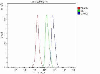 Flow Cytometry analysis of SH-SY5Y cells using anti-MAGI2 antibody. Overlay histogram showing SH-SY5Y cells stained with (Blue line). The cells were fixed with 4% paraformaldehyde and blocked with 10% normal goat serum. And then incubated with rabbit anti-MAGI2 antibody (1 ug/million cells) for 30 min at 20oC. DyLight 488 conjugated goat anti-rabbit IgG (5-10 ug/million cells) was used as secondary antibody for 30 minutes at 20oC. Isotype control antibody (Green line) was rabbit IgG (1 ug/million cells) used under the same conditions. Unlabelled sample without incubation with primary antibody and secondary antibody (Red line) was used as a blank control.