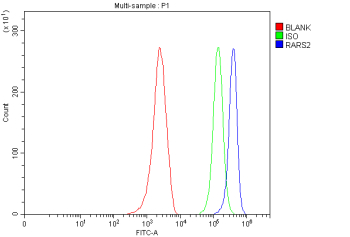 Flow Cytometry analysis of MCF-7 cells using anti-RARS2 antibody. Overlay histogram showing MCF-7 cells stained with (Blue line). To facilitate intracellular staining, cells were fixed with 4% paraformaldehyde and permeabilized with permeabilization buffer. The cells were blocked with 10% normal goat serum. And then incubated with rabbit anti-RARS2 antibody (1 ug/million cells) for 30 min at 20oC. DyLight 488 conjugated goat anti-rabbit IgG (5-10 ug/million cells) was used as secondary antibody for 30 minutes at 20oC. Isotype control antibody (Green line) was rabbit IgG (1 ug/million cells) used under the same conditions. Unlabelled sample without incubation with primary antibody and secondary antibody (Red line) was used as a blank control.