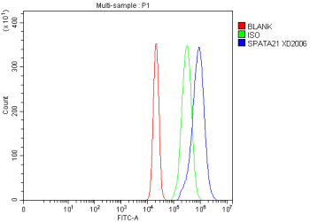 Flow Cytometry analysis of RT4 cells using anti-SPATA21 antibody. Overlay histogram showing RT4 cells stained with (Blue line). To facilitate intracellular staining, cells were fixed with 4% paraformaldehyde and permeabilized with permeabilization buffer. The cells were blocked with 10% normal goat serum. And then incubated with rabbit anti-SPATA21 antibody (1 ug/million cells) for 30 min at 20oC. DyLight 488 conjugated goat anti-rabbit IgG (5-10 ug/million cells) was used as secondary antibody for 30 minutes at 20oC. Isotype control antibody (Green line) was rabbit IgG (1 ug/million cells) used under the same conditions. Unlabelled sample without incubation with primary antibody and secondary antibody (Red line) was used as a blank control.