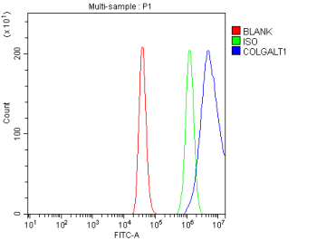 Flow Cytometry analysis of HEL cells using anti-COLGALT1 antibody. Overlay histogram showing HEL cells stained with (Blue line). To facilitate intracellular staining, cells were fixed with 4% paraformaldehyde and permeabilized with permeabilization buffer. The cells were blocked with 10% normal goat serum. And then incubated with rabbit anti-COLGALT1 antibody (1 ug/million cells) for 30 min at 20oC. DyLight 488 conjugated goat anti-rabbit IgG (5-10 ug/million cells) was used as secondary antibody for 30 minutes at 20oC. Isotype control antibody (Green line) was rabbit IgG (1 ug/million cells) used under the same conditions. Unlabelled sample (Red line) was also used as a control.
