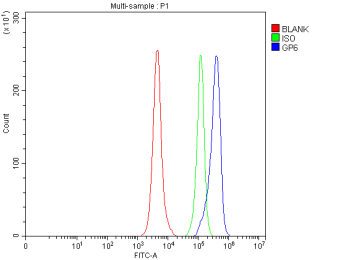 Flow Cytometry analysis of RAW264.7 cells using anti-GP6 antibody. Overlay histogram showing RAW264.7 cells stained with (Blue line). The cells were fixed with 4% paraformaldehyde and blocked with 10% normal goat serum. And then incubated with rabbit anti-GP6 antibody (1 ug/million cells) for 30 min at 20oC. DyLight 488 conjugated goat anti-rabbit IgG (5-10 ug/million cells) was used as secondary antibody for 30 minutes at 20oC. Isotype control antibody (Green line) was rabbit IgG (1 ug/million cells) used under the same conditions. Unlabelled sample without incubation with primary antibody and secondary antibody (Red line) was used as a blank control.
