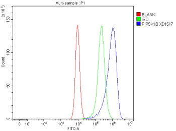 Flow Cytometry analysis of CACO-2 cells using anti-PIP5K1B antibody. Overlay histogram showing CACO-2 cells stained with (Blue line). To facilitate intracellular staining, cells were fixed with 4% paraformaldehyde and permeabilized with permeabilization buffer. The cells were blocked with 10% normal goat serum. And then incubated with rabbit anti-PIP5K1B antibody (1 ug/million cells) for 30 min at 20oC. DyLight 488 conjugated goat anti-rabbit IgG (5-10 ug/million cells) was used as secondary antibody for 30 minutes at 20oC. Isotype control antibody (Green line) was rabbit IgG (1 ug/million cells) used under the same conditions. Unlabelled sample without incubation with primary antibody and secondary antibody (Red line) was used as a blank control.