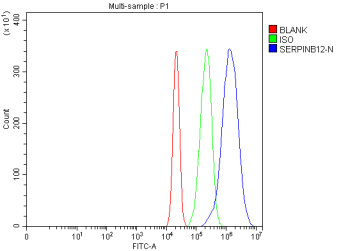 Flow Cytometry analysis of RT4 cells using anti-SERPINB12 antibody. Overlay histogram showing RT4 cells stained with (Blue line). To facilitate intracellular staining, cells were fixed with 4% paraformaldehyde and permeabilized with permeabilization buffer. The cells were blocked with 10% normal goat serum. And then incubated with rabbit anti-SERPINB12 antibody (1 ug/million cells) for 30 min at 20oC. DyLight 488 conjugated goat anti-rabbit IgG (5-10 ug/million cells) was used as secondary antibody for 30 minutes at 20oC. Isotype control antibody (Green line) was rabbit IgG (1 ug/million cells) used under the same conditions. Unlabelled sample without incubation with primary antibody and secondary antibody (Red line) was used as a blank control.