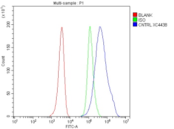 Flow Cytometry analysis of HEL cells using anti-CNTRL antibody. Overlay histogram showing HEL cells stained with (Blue line). To facilitate intracellular staining, cells were fixed with 4% paraformaldehyde and permeabilized with permeabilization buffer. The cells were blocked with 10% normal goat serum. And then incubated with rabbit anti-CNTRL antibody (1 ug/million cells) for 30 min at 20oC. DyLight 488 conjugated goat anti-rabbit IgG (5-10 ug/million cells) was used as secondary antibody for 30 minutes at 20oC. Isotype control antibody (Green line) was rabbit IgG (1 ug/million cells) used under the same conditions. Unlabelled sample without incubation with primary antibody and secondary antibody (Red line) was used as a blank control.