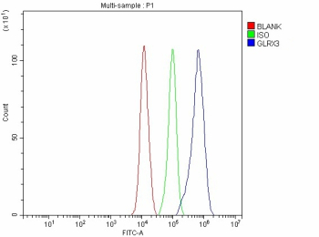Flow Cytometry analysis of JK cells using anti-GLRX3 antibody. Overlay histogram showing JK cells stained with (Blue line). To facilitate intracellular staining, cells were fixed with 4% paraformaldehyde and permeabilized with permeabilization buffer. The cells were blocked with 10% normal goat serum. And then incubated with rabbit anti-GLRX3 antibody (1 ug/million cells) for 30 min at 20oC. DyLight 488 conjugated goat anti-rabbit IgG (5-10 ug/million cells) was used as secondary antibody for 30 minutes at 20oC. Isotype control antibody (Green line) was rabbit IgG (1 ug/million cells) used under the same conditions. Unlabelled sample without incubation with primary antibody and secondary antibody (Red line) was used as a blank control.