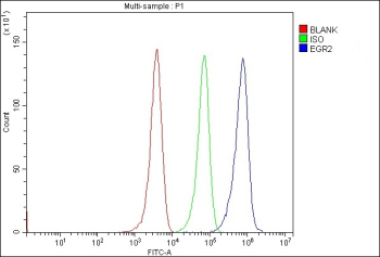 Flow Cytometry analysis of MCF-7 cells using anti-EGR2 antibody. Overlay histogram showing MCF-7 cells stained with (Blue line). To facilitate intracellular staining, cells were fixed with 4% paraformaldehyde and permeabilized with permeabilization buffer. The cells were blocked with 10% normal goat serum. And then incubated with rabbit anti-EGR2 antibody (1 ug/million cells) for 30 min at 20oC. DyLight 488 conjugated goat anti-rabbit IgG (5-10 ug/million cells) was used as secondary antibody for 30 minutes at 20oC. Isotype control antibody (Green line) was rabbit IgG (1 ug/million cells) used under the same conditions. Unlabelled sample without incubation with primary antibody and secondary antibody (Red line) was used as a blank control.