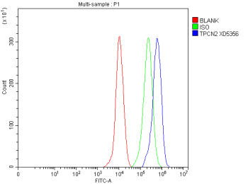 Flow Cytometry analysis of THP-1 cells using anti-TPCN2 antibody. Overlay histogram showing THP-1 cells stained with (Blue line). The cells were fixed with 4% paraformaldehyde and blocked with 10% normal goat serum. And then incubated with rabbit anti-TPCN2 antibody (1 ug/million cells) for 30 min at 20oC. DyLight 488 conjugated goat anti-rabbit IgG (5-10 ug/million cells) was used as secondary antibody for 30 minutes at 20oC. Isotype control antibody (Green line) was rabbit IgG (1 ug/million cells) used under the same conditions. Unlabelled sample without incubation with primary antibody and secondary antibody (Red line) was used as a blank control.