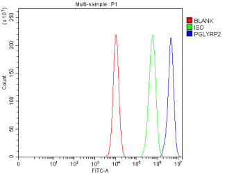 Flow Cytometry analysis of K562 cells using anti-PGLYRP2 antibody. Overlay histogram showing K562 cells stained with (Blue line). The cells were fixed with 4% paraformaldehyde and blocked with 10% normal goat serum. And then incubated with rabbit anti-PGLYRP2 antibody (1 ug/million cells) for 30 min at 20oC. DyLight 488 conjugated goat anti-rabbit IgG (5-10 ug/million cells) was used as secondary antibody for 30 minutes at 20oC. Isotype control antibody (Green line) was rabbit IgG (1 ug/million cells) used under the same conditions. Unlabelled sample (Red line) was also used as a control.