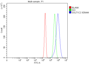 Flow Cytometry analysis of RT4 cells using anti-SULT1C2 antibody. Overlay histogram showing RT4 cells stained with (Blue line). To facilitate intracellular staining, cells were fixed with 4% paraformaldehyde and permeabilized with permeabilization buffer. The cells were blocked with 10% normal goat serum. And then incubated with rabbit anti-SULT1C2 antibody (1 ug/million cells) for 30 min at 20oC. DyLight 488 conjugated goat anti-rabbit IgG (5-10 ug/million cells) was used as secondary antibody for 30 minutes at 20oC. Isotype control antibody (Green line) was rabbit IgG (1 ug/million cells) used under the same conditions. Unlabelled sample without incubation with primary antibody and secondary antibody (Red line) was used as a blank control.