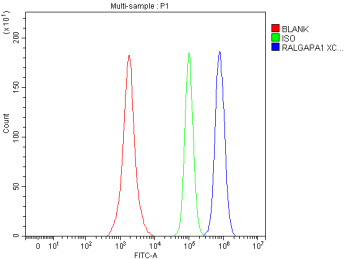 Flow Cytometry analysis of SH-SY5Y cells using anti-RALGAPA1 antibody. Overlay histogram showing SH-SY5Y cells stained with (Blue line). To facilitate intracellular staining, cells were fixed with 4% paraformaldehyde and permeabilized with permeabilization buffer. The cells were blocked with 10% normal goat serum. And then incubated with rabbit anti-RALGAPA1 antibody (1 ug/million cells) for 30 min at 20oC. DyLight 488 conjugated goat anti-rabbit IgG (5-10 ug/million cells) was used as secondary antibody for 30 minutes at 20oC. Isotype control antibody (Green line) was rabbit IgG (1 ug/million cells) used under the same conditions. Unlabelled sample without incubation with primary antibody and secondary antibody (Red line) was used as a blank control.