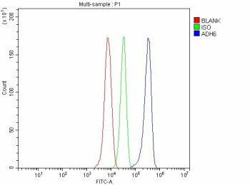 Flow Cytometry analysis of HepG2 cells using anti-ADH6 antibody. Overlay histogram showing HepG2 cells stained with (Blue line). To facilitate intracellular staining, cells were fixed with 4% paraformaldehyde and permeabilized with permeabilization buffer. The cells were blocked with 10% normal goat serum. And then incubated with rabbit anti-ADH6 antibody (1 ug/million cells) for 30 min at 20oC. DyLight 488 conjugated goat anti-rabbit IgG (5-10 ug/million cells) was used as secondary antibody for 30 minutes at 20oC. Isotype control antibody (Green line) was rabbit IgG (1 ug/million cells) used under the same conditions. Unlabelled sample without incubation with primary antibody and secondary antibody (Red line) was used as a blank control.