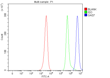 Flow Cytometry analysis of human JK cells using anti-GAS7 antibody. Overlay histogram showing JK cells stained with (Blue line). To facilitate intracellular staining, cells were fixed with 4% paraformaldehyde and permeabilized with permeabilization buffer. The cells were blocked with 10% normal goat serum. And then incubated with rabbit anti-GAS7 antibody (1 ug/million cells) for 30 min at 20oC. DyLight 488 conjugated goat anti-rabbit IgG (5-10 ug/million cells) was used as secondary antibody for 30 minutes at 20oC. Isotype control antibody (Green line) was rabbit IgG (1 ug/million cells) used under the same conditions. Unlabelled sample (Red line) was also used as a control.