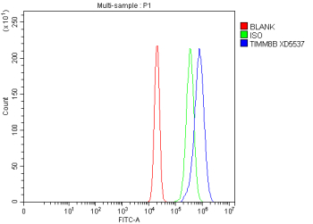Flow Cytometry analysis of RT4 cells using anti-TIMM8B antibody. Overlay histogram showing RT4 cells stained with (Blue line). To facilitate intracellular staining, cells were fixed with 4% paraformaldehyde and permeabilized with permeabilization buffer. The cells were blocked with 10% normal goat serum. And then incubated with rabbit anti-TIMM8B antibody (1 ug/million cells) for 30 min at 20oC. DyLight 488 conjugated goat anti-rabbit IgG (5-10 ug/million cells) was used as secondary antibody for 30 minutes at 20oC. Isotype control antibody (Green line) was rabbit IgG (1 ug/million cells) used under the same conditions. Unlabelled sample without incubation with primary antibody and secondary antibody (Red line) was used as a blank control.