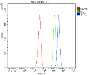 Flow Cytometry analysis of HEL cells using anti-SYF2 antibody. Overlay histogram showing HEL cells stained with (Blue line). To facilitate intracellular staining, cells were fixed with 4% paraformaldehyde and permeabilized with permeabilization buffer. The cells were blocked with 10% normal goat serum. And then incubated with rabbit anti-SYF2 antibody (1 ug/million cells) for 30 min at 20oC. DyLight 488 conjugated goat anti-rabbit IgG (5-10 ug/million cells) was used as secondary antibody for 30 minutes at 20oC. Isotype control antibody (Green line) was rabbit IgG (1 ug/million cells) used under the same conditions. Unlabelled sample without incubation with primary antibody and secondary antibody (Red line) was used as a blank control.