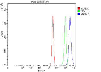 Flow Cytometry analysis of U251 cells using anti-MICAL3 antibody. Overlay histogram showing U251 cells stained with (Blue line). To facilitate intracellular staining, cells were fixed with 4% paraformaldehyde and permeabilized with permeabilization buffer. The cells were blocked with 10% normal goat serum. And then incubated with rabbit anti-MICAL3 antibody (1 ug/million cells) for 30 min at 20oC. DyLight 488 conjugated goat anti-rabbit IgG (5-10 ug/million cells) was used as secondary antibody for 30 minutes at 20oC. Isotype control antibody (Green line) was rabbit IgG (1 ug/million cells) used under the same conditions. Unlabelled sample (Red line) was also used as a control.