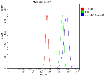 Flow Cytometry analysis of HeLa cells using anti-SETDB1 antibody. Overlay histogram showing HeLa cells stained with (Blue line). To facilitate intracellular staining, cells were fixed with 4% paraformaldehyde and permeabilized with permeabilization buffer. The cells were blocked with 10% normal goat serum. And then incubated with rabbit anti-SETDB1 antibody (1 ug/million cells) for 30 min at 20oC. DyLight 488 conjugated goat anti-rabbit IgG (5-10 ug/million cells) was used as secondary antibody for 30 minutes at 20oC. Isotype control antibody (Green line) was rabbit IgG (1 ug/million cells) used under the same conditions. Unlabelled sample without incubation with primary antibody and secondary antibody (Red line) was used as a blank control.