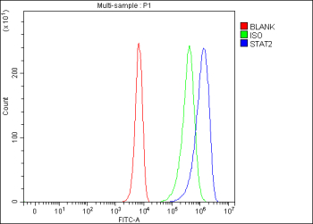 Flow Cytometry analysis of K562 cells using anti-STAT2 antibody. Overlay histogram showing K562 cells stained with (Blue line). To facilitate intracellular staining, cells were fixed with 4% paraformaldehyde and permeabilized with permeabilization buffer. The cells were blocked with 10% normal goat serum. And then incubated with rabbit anti-STAT2 antibody (1 ug/million cells) for 30 min at 20oC. DyLight 488 conjugated goat anti-rabbit IgG (5-10 ug/million cells) was used as secondary antibody for 30 minutes at 20oC. Isotype control antibody (Green line) was rabbit IgG (1 ug/million cells) used under the same conditions. Unlabelled sample (Red line) was also used as a control.