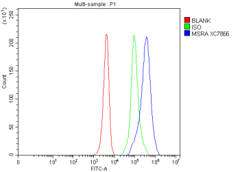 Flow Cytometry analysis of mouse HEPA1-6 cells using anti-MSRA antibody. Overlay histogram showing HEPA1-6 cells stained with (Blue line). To facilitate intracellular staining, cells were fixed with 4% paraformaldehyde and permeabilized with permeabilization buffer. The cells were blocked with 10% normal goat serum. And then incubated with rabbit anti-MSRA antibody (1 ug/million cells) for 30 min at 20oC. DyLight 488 conjugated goat anti-rabbit IgG (5-10 ug/million cells) was used as secondary antibody for 30 minutes at 20oC. Isotype control antibody (Green line) was rabbit IgG (1 ug/million cells) used under the same conditions. Unlabelled sample without incubation with primary antibody and secondary antibody (Red line) was used as a blank control.