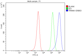 Flow Cytometry analysis of MCF-7 cells using anti-TRIM44 antibody. Overlay histogram showing MCF-7 cells stained with (Blue line). To facilitate intracellular staining, cells were fixed with 4% paraformaldehyde and permeabilized with permeabilization buffer. The cells were blocked with 10% normal goat serum. And then incubated with rabbit anti-TRIM44 antibody (1 ug/million cells) for 30 min at 20oC. DyLight 488 conjugated goat anti-rabbit IgG (5-10 ug/million cells) was used as secondary antibody for 30 minutes at 20oC. Isotype control antibody (Green line) was rabbit IgG (1 ug/million cells) used under the same conditions. Unlabelled sample without incubation with primary antibody and secondary antibody (Red line) was used as a blank control.