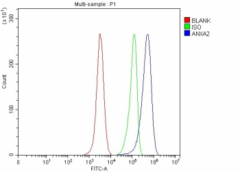 Flow Cytometry analysis of Hela cells using anti-ANXA2 antibody. Overlay histogram showing Hela cells stained with (Blue line). The cells were fixed with 4% paraformaldehyde and blocked with 10% normal goat serum. And then incubated with rabbit anti-ANXA2 antibody (1 ug/million cells) for 30 min at 20oC. DyLight 488 conjugated goat anti-rabbit IgG (5-10 ug/million cells) was used as secondary antibody for 30 minutes at 20oC. Isotype control antibody (Green line) was rabbit IgG (1 ug/million cells) used under the same conditions. Unlabelled sample without incubation with primary antibody and secondary antibody (Red line) was used as a blank control.