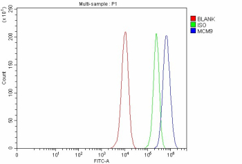 Flow Cytometry analysis of MCF-7 cells using anti-MCM9 antibody. Overlay histogram showing MCF-7 cells stained with (Blue line). To facilitate intracellular staining, cells were fixed with 4% paraformaldehyde and permeabilized with permeabilization buffer. The cells were blocked with 10% normal goat serum. And then incubated with rabbit anti-MCM9 antibody (1 ug/million cells) for 30 min at 20oC. DyLight 488 conjugated goat anti-rabbit IgG (5-10 ug/million cells) was used as secondary antibody for 30 minutes at 20oC. Isotype control antibody (Green line) was rabbit IgG (1 ug/million cells) used under the same conditions. Unlabelled sample without incubation with primary antibody and secondary antibody (Red line) was used as a blank control.