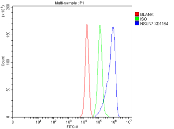 Flow Cytometry analysis of PC-3 cells using anti-NSUN7 antibody. Overlay histogram showing PC-3 cells stained with (Blue line). To facilitate intracellular staining, cells were fixed with 4% paraformaldehyde and permeabilized with permeabilization buffer. The cells were blocked with 10% normal goat serum. And then incubated with rabbit anti-NSUN7 antibody (1 ug/million cells) for 30 min at 20oC. DyLight 488 conjugated goat anti-rabbit IgG (5-10 ug/million cells) was used as secondary antibody for 30 minutes at 20oC. Isotype control antibody (Green line) was rabbit IgG (1 ug/million cells) used under the same conditions. Unlabelled sample without incubation with primary antibody and secondary antibody (Red line) was used as a blank control.