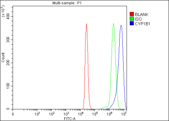 Flow Cytometry analysis of THP-1 cells using anti-CYP1B1 antibody. Overlay histogram showing THP-1 cells stained with (Blue line). To facilitate intracellular staining, cells were fixed with 4% paraformaldehyde and permeabilized with permeabilization buffer. The cells were blocked with 10% normal goat serum. And then incubated with rabbit anti-CYP1B1 antibody (1 ug/million cells) for 30 min at 20oC. DyLight 488 conjugated goat anti-rabbit IgG (5-10 ug/million cells) was used as secondary antibody for 30 minutes at 20oC. Isotype control antibody (Green line) was rabbit IgG (1 ug/million cells) used under the same conditions. Unlabelled sample (Red line) was also used as a control.