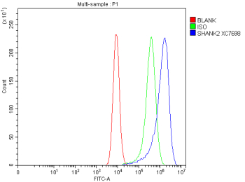 Flow Cytometry analysis of Caco-2 cells using anti-SHANK2 antibody. Overlay histogram showing Caco-2 cells stained with (Blue line). To facilitate intracellular staining, cells were fixed with 4% paraformaldehyde and permeabilized with permeabilization buffer. The cells were blocked with 10% normal goat serum. And then incubated with rabbit anti-SHANK2 antibody (1 ug/million cells) for 30 min at 20oC. DyLight 488 conjugated goat anti-rabbit IgG (5-10 ug/million cells) was used as secondary antibody for 30 minutes at 20oC. Isotype control antibody (Green line) was rabbit IgG (1 ug/million cells) used under the same conditions. Unlabelled sample without incubation with primary antibody and secondary antibody (Red line) was used as a blank control.