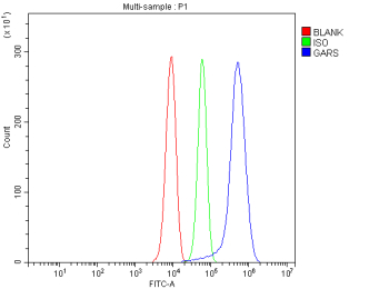 Flow Cytometry analysis of HepG2 cells using anti-GARS1 antibody. Overlay histogram showing HepG2 cells stained with (Blue line). The cells were fixed with 4% paraformaldehyde and blocked with 10% normal goat serum. And then incubated with rabbit anti-GARS1 antibody (1 ug/million cells) for 30 min at 20oC. DyLight 488 conjugated goat anti-rabbit IgG (5-10 ug/million cells) was used as secondary antibody for 30 minutes at 20oC. Isotype control antibody (Green line) was rabbit IgG (1 ug/million cells) used under the same conditions. Unlabelled sample (Red line) was also used as a control.