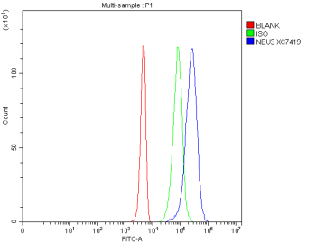 Flow Cytometry analysis of 293T cells using anti-NEU3 antibody. Overlay histogram showing 293T cells stained with (Blue line). The cells were fixed with 4% paraformaldehyde and blocked with 10% normal goat serum. And then incubated with rabbit anti-NEU3 antibody (1 ug/million cells) for 30 min at 20oC. DyLight 488 conjugated goat anti-rabbit IgG (5-10 ug/million cells) was used as secondary antibody for 30 minutes at 20oC. Isotype control antibody (Green line) was rabbit IgG (1 ug/million cells) used under the same conditions. Unlabelled sample without incubation with primary antibody and secondary antibody (Red line) was used as a blank control.