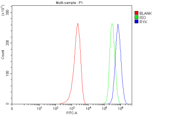 Flow Cytometry analysis of MCF-7 cells using anti-RYK antibody. Overlay histogram showing MCF-7 cells stained with (Blue line). To facilitate intracellular staining, cells were fixed with 4% paraformaldehyde and permeabilized with permeabilization buffer. The cells were blocked with 10% normal goat serum. And then incubated with rabbit anti-RYK antibody (1 ug/million cells) for 30 min at 20oC. DyLight 488 conjugated goat anti-rabbit IgG (5-10 ug/million cells) was used as secondary antibody for 30 minutes at 20oC. Isotype control antibody (Green line) was rabbit IgG (1 ug/million cells) used under the same conditions. Unlabelled sample without incubation with primary antibody and secondary antibody (Red line) was used as a blank control.