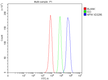 Flow Cytometry analysis of HepG2 cells using anti-NPW antibody. Overlay histogram showing HepG2 cells stained with (Blue line). The cells were fixed with 4% paraformaldehyde and blocked with 10% normal goat serum. And then incubated with rabbit anti-NPW antibody (1 ug/million cells) for 30 min at 20oC. DyLight 488 conjugated goat anti-rabbit IgG (5-10 ug/million cells) was used as secondary antibody for 30 minutes at 20oC. Isotype control antibody (Green line) was rabbit IgG (1 ug/million cells) used under the same conditions. Unlabelled sample without incubation with primary antibody and secondary antibody (Red line) was used as a blank control.