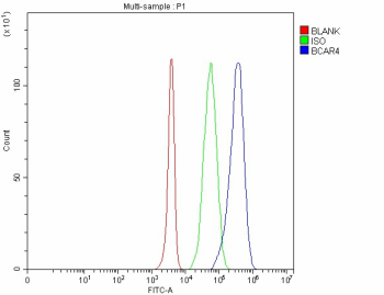 Flow Cytometry analysis of 293T cells using anti-BCAR4 antibody. Overlay histogram showing 293T cells stained with (Blue line). The cells were fixed with 4% paraformaldehyde and blocked with 10% normal goat serum. And then incubated with rabbit anti-BCAR4 antibody (1 ug/million cells) for 30 min at 20oC. DyLight 488 conjugated goat anti-rabbit IgG (5-10 ug/million cells) was used as secondary antibody for 30 minutes at 20oC. Isotype control antibody (Green line) was rabbit IgG (1 ug/million cells) used under the same conditions. Unlabelled sample without incubation with primary antibody and secondary antibody (Red line) was used as a blank control.